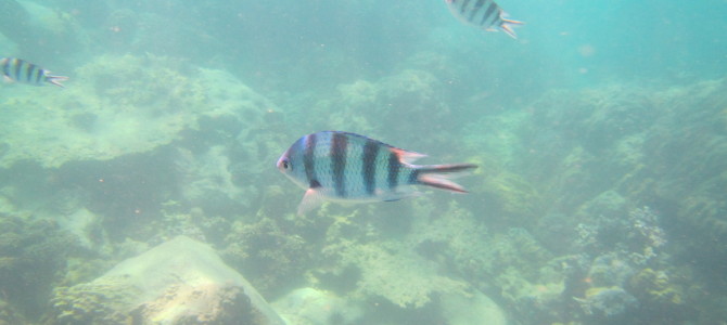 Ko Chang (2) Ko Chang (2)