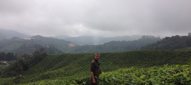 Cameron Highlands