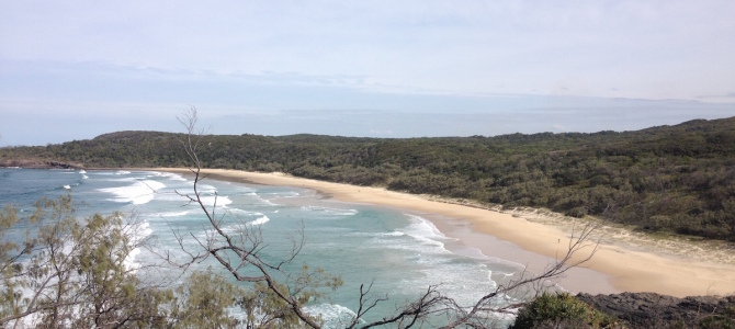 Noosa Noosa