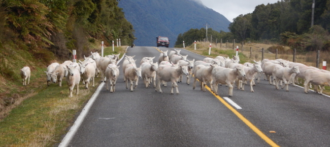 Paparoa Nationalpark & Gletscher Paparoa Nationalpark & Gletscher