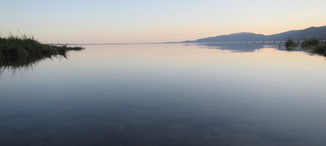 Wellington bis Napier