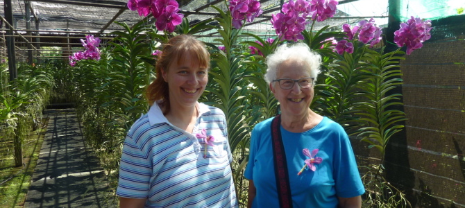 Chiang Mai Chiang Mai