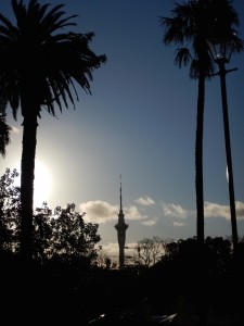 Auckland-029
