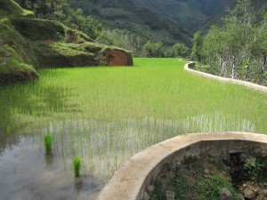Banaue-013