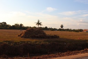 Battambang-113