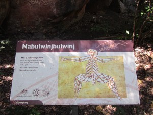 Darwin-Kakadu-061