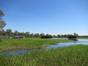 Darwin-Kakadu-066