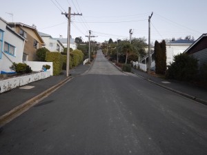 Dunedin-024