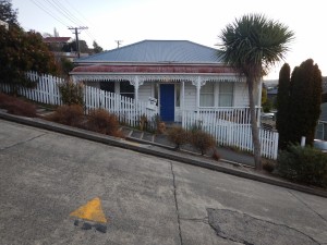 Dunedin-025