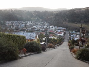 Dunedin-036