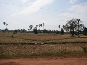 Kampot-092