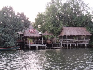 Kampot-241