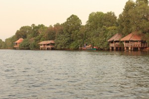 Kampot-256