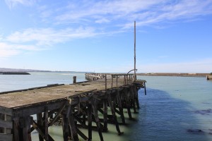 Oamaru-013