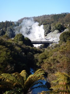 Rotorua-019