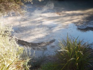 Rotorua-029