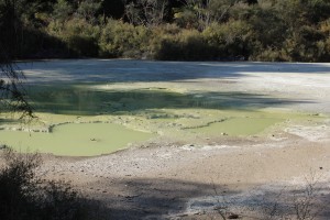 Rotorua-064